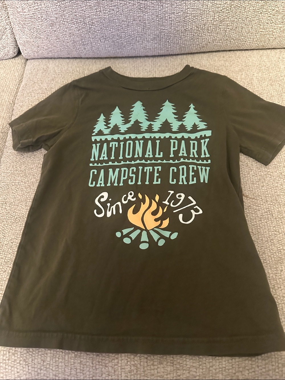 Carter's Olive Green National Park Campsite Crew Tee with Teal & Yellow Graphic